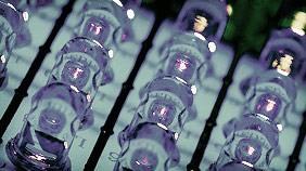 自动攻击网站工具下载