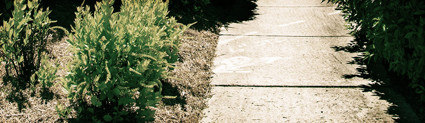 自动发货快的网页攻击平台